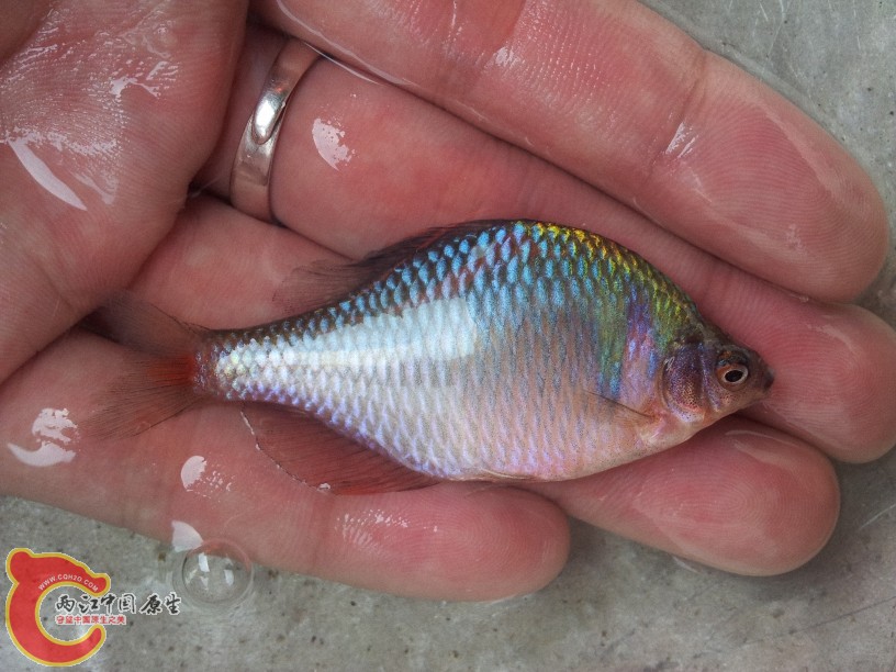 2012-05-10 11.14.22.jpg