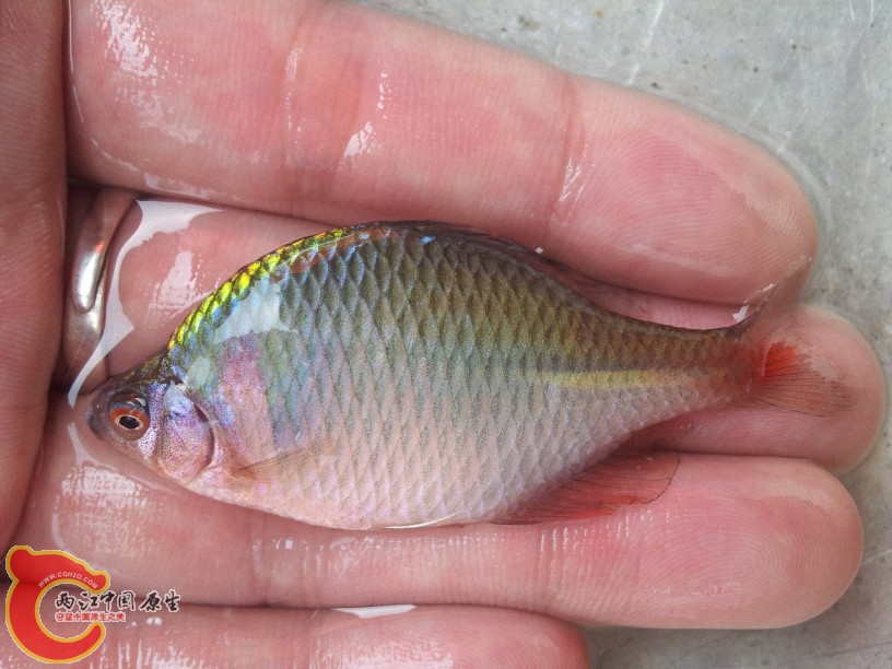 2012-05-10 11.14.34.jpg