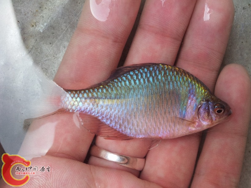 2012-05-10 11.14.45.jpg