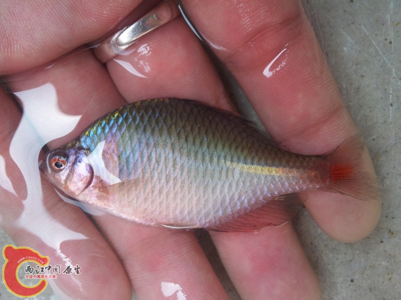 2012-05-10 11.14.54.jpg