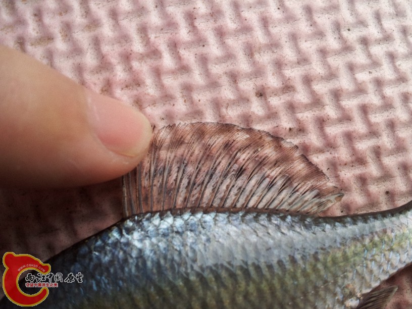 2012-05-10 14.24.15.jpg