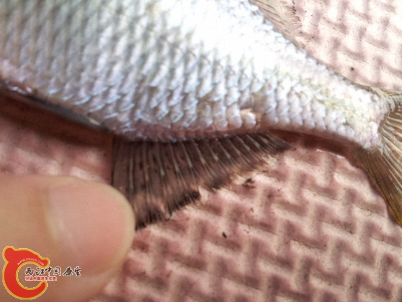 2012-05-10 14.24.26.jpg