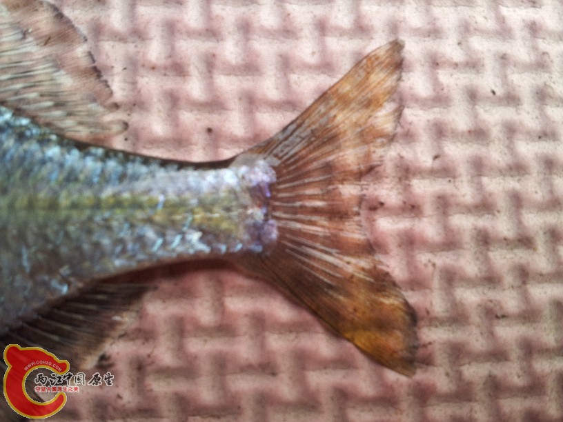 2012-05-10 14.24.36.jpg