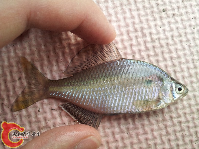 2012-05-10 14.27.12.jpg