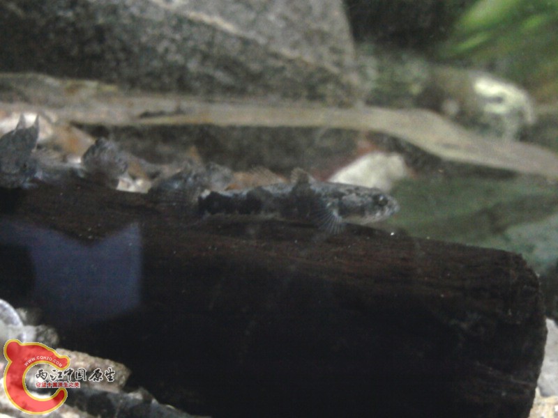 照片-0025.jpg