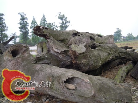 DSCN1108.jpg