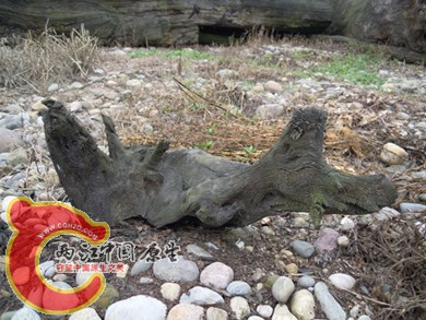 DSCN1112.jpg