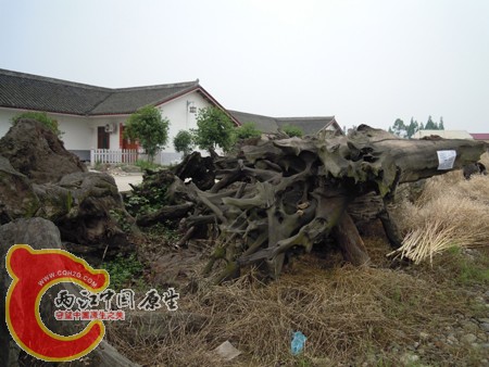 DSCN1114.jpg
