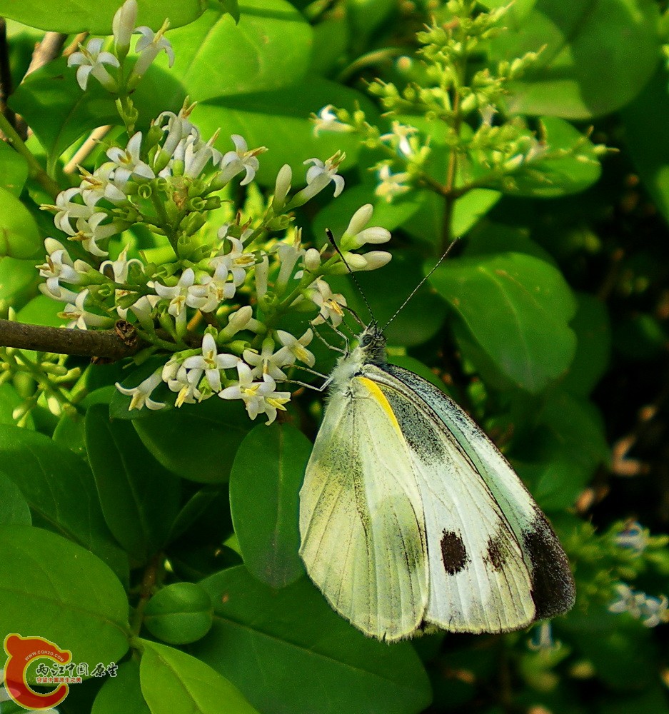 DSCN3751.JPG