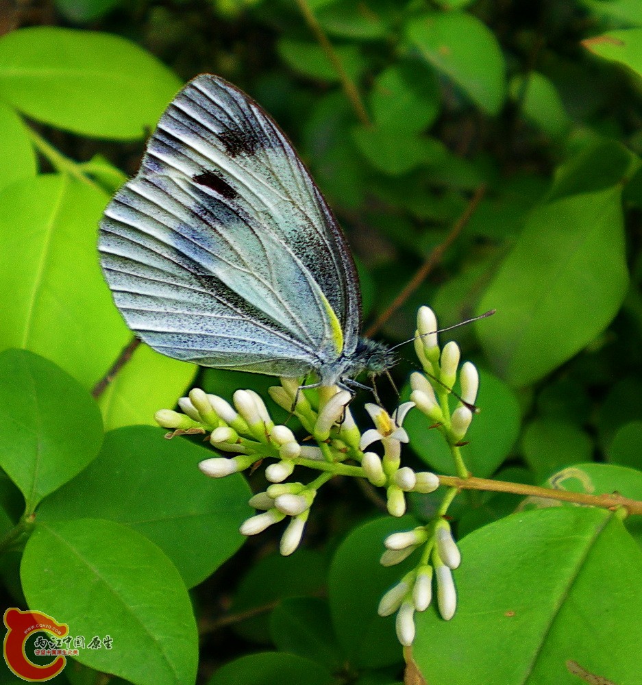 DSCN3754.JPG