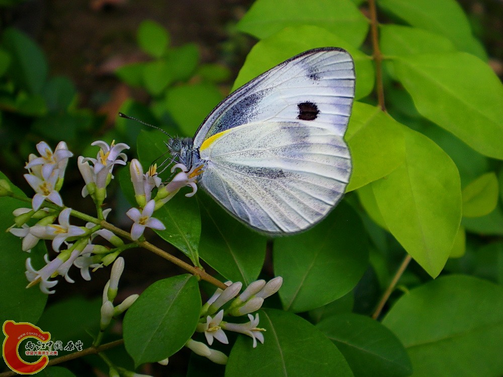 DSCN3759.JPG