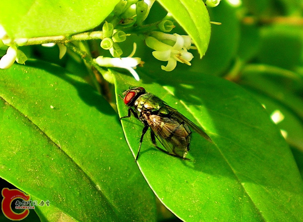 DSCN3764.JPG