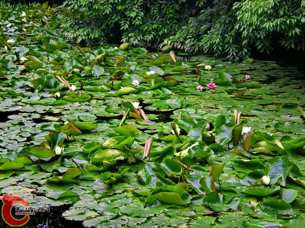DSCN3775.JPG