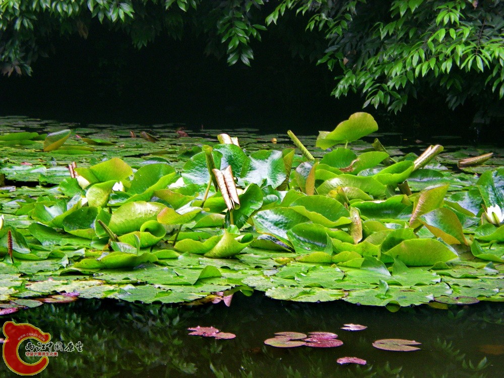 DSCN3776.JPG