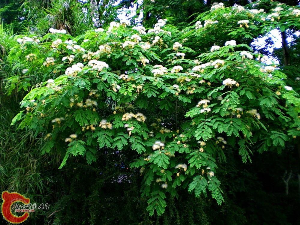 DSCN3781.JPG