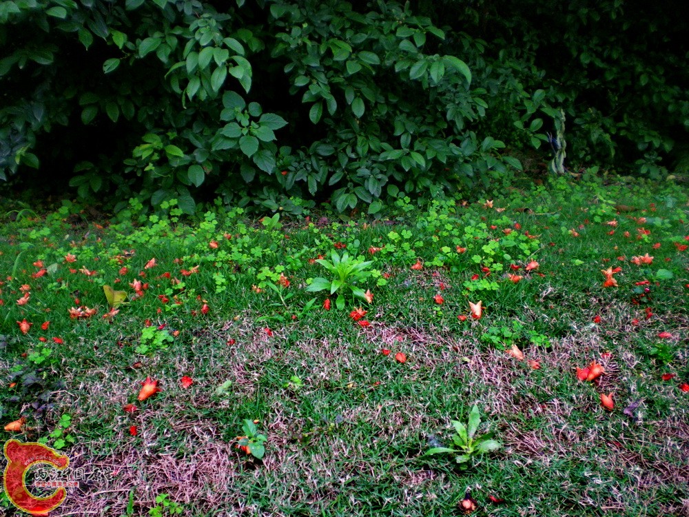 DSCN3788.JPG