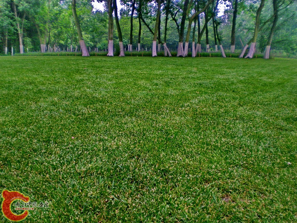 DSCN3797.JPG