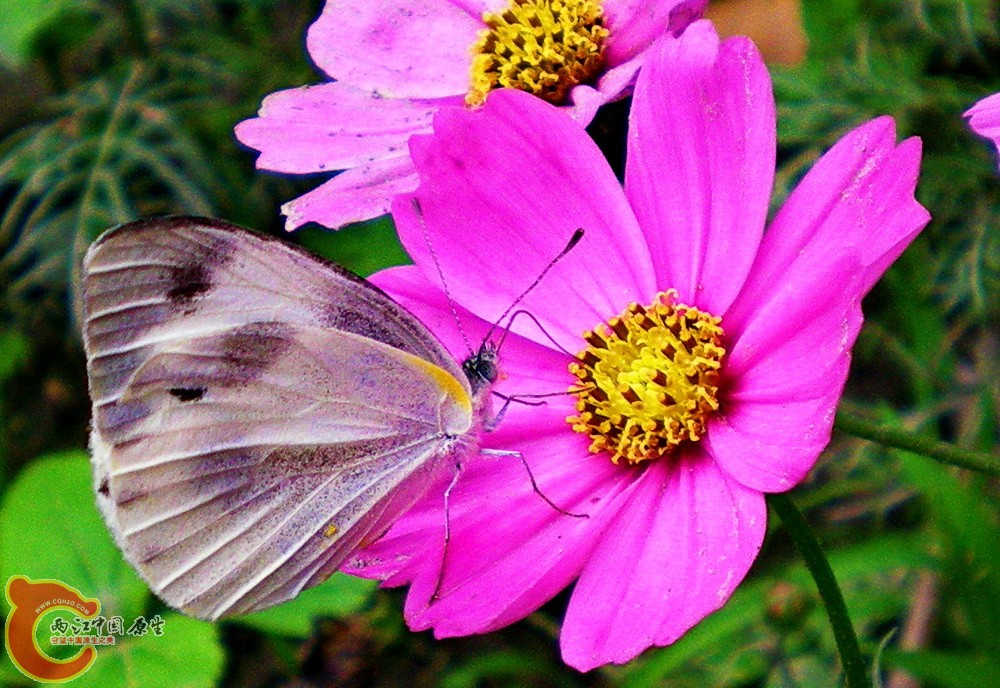 DSCN3798.JPG