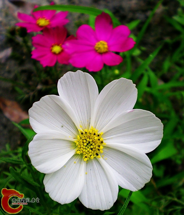 DSCN3803.JPG