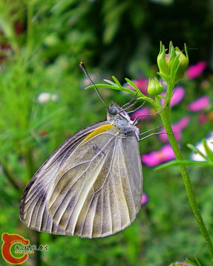 DSCN3806.JPG