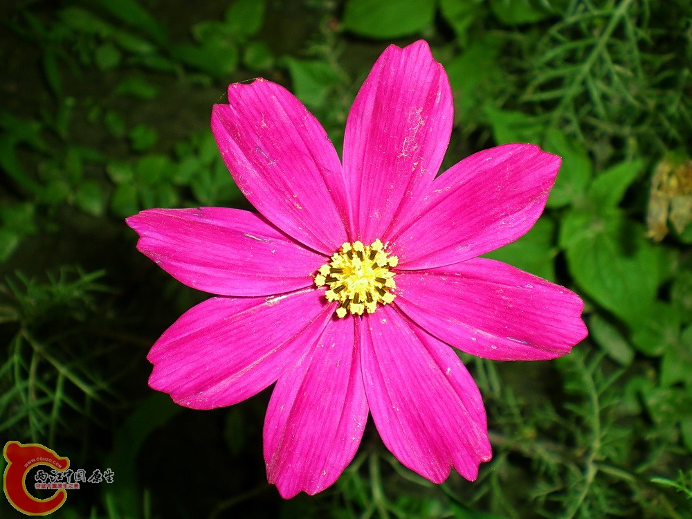DSCN3807.JPG