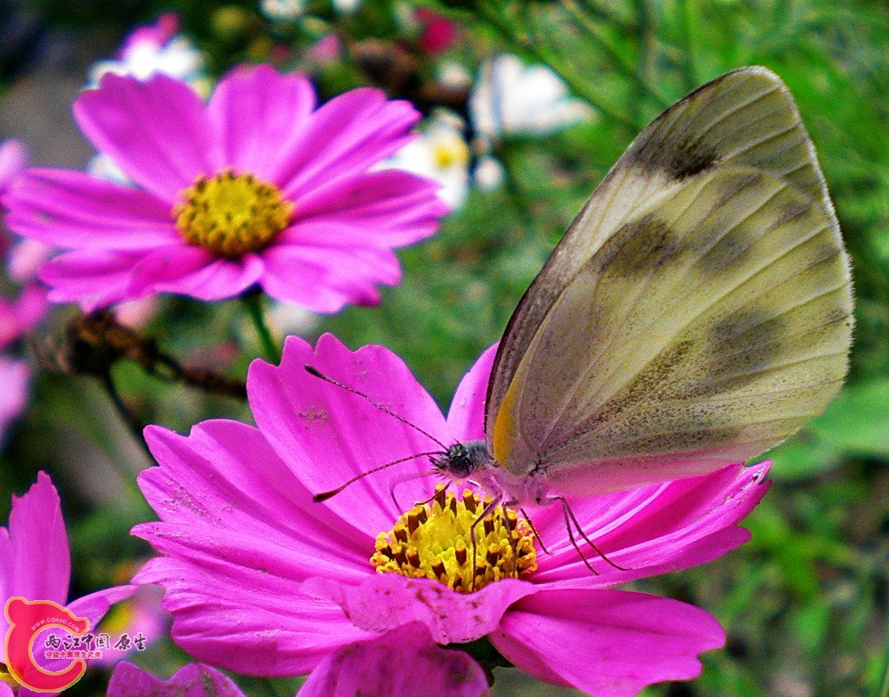 DSCN3812.JPG