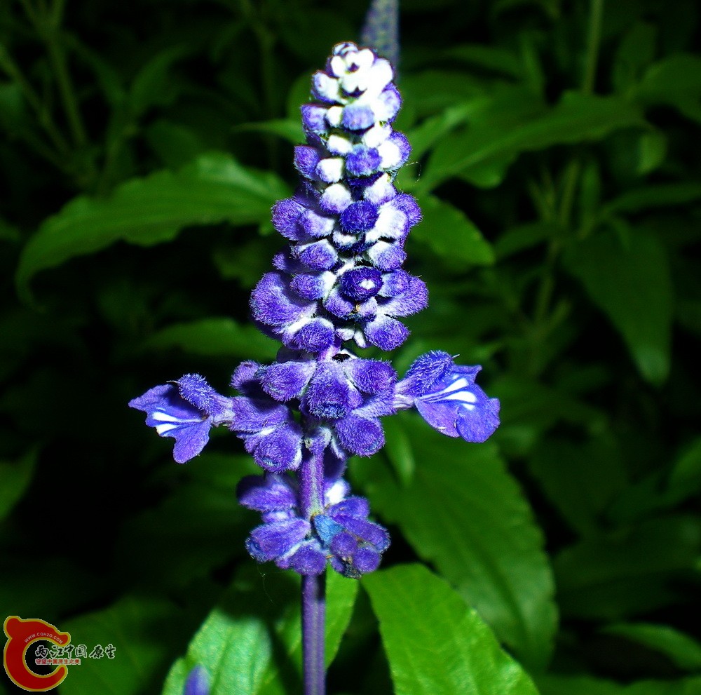 DSCN3815.JPG