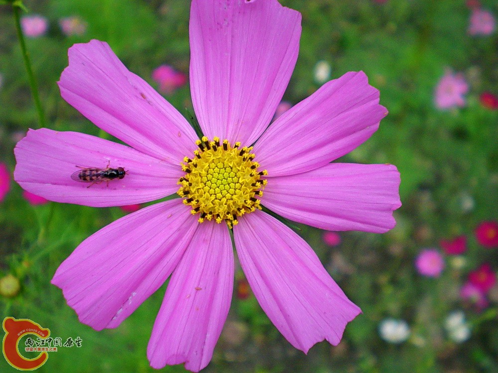 DSCN3823.JPG