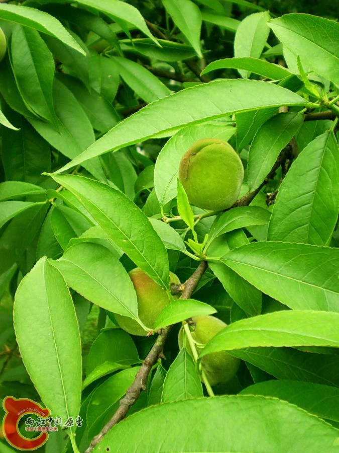 DSCN3828.JPG