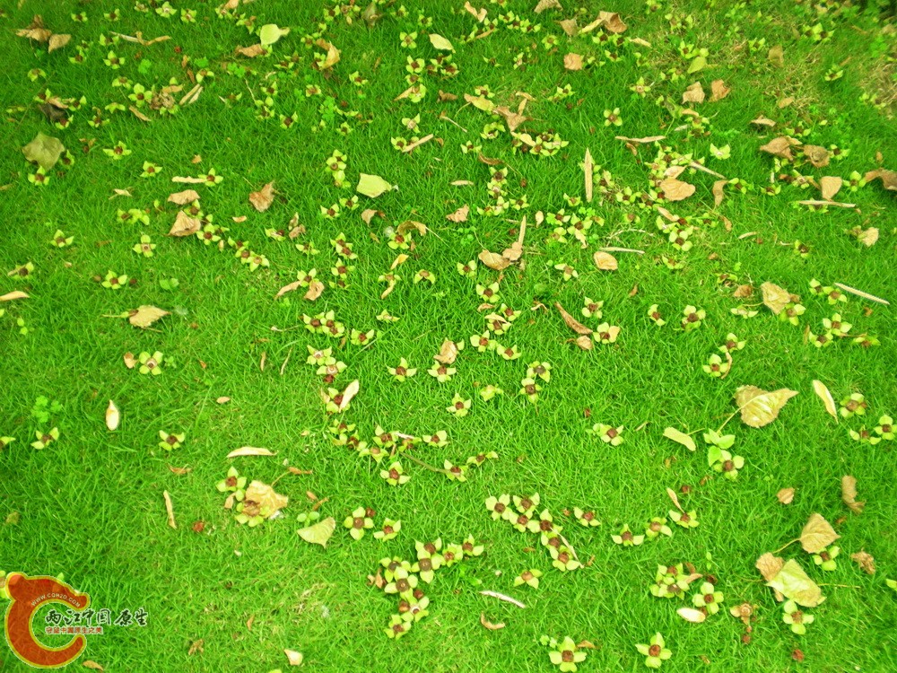 DSCN3831.JPG