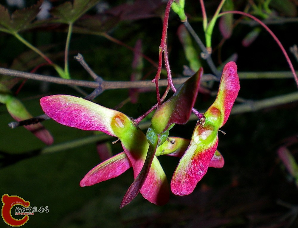 DSCN3839.JPG