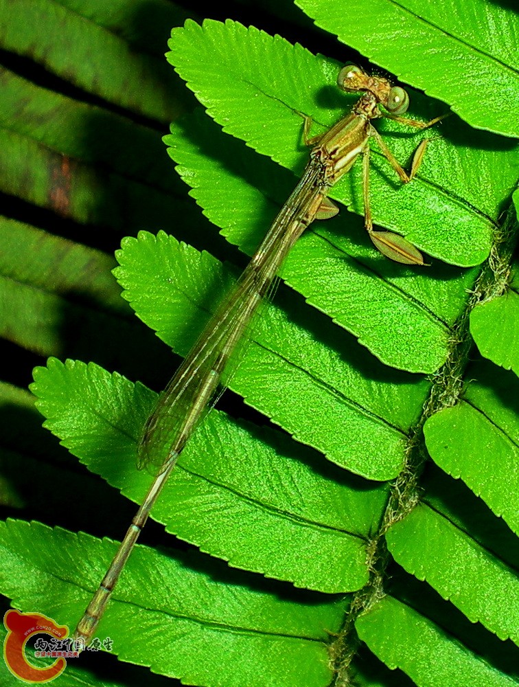 DSCN3841.1.jpg