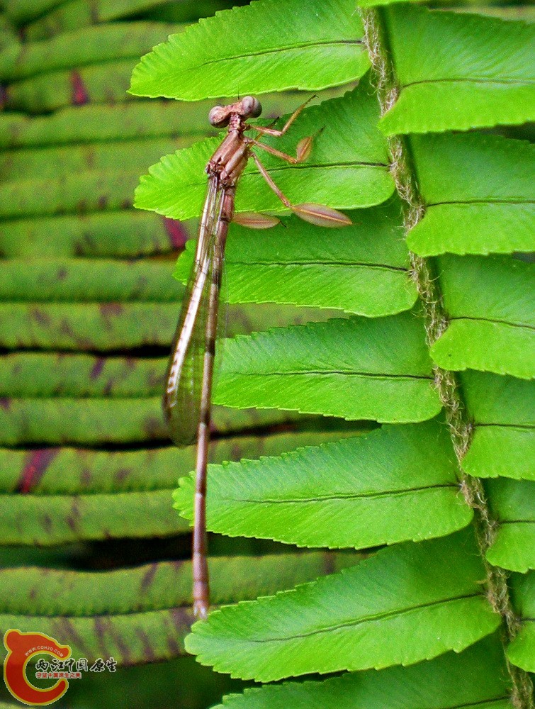 DSCN3842.1.jpg