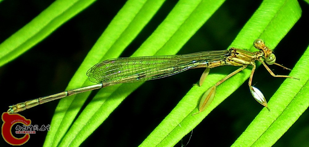 DSCN3854.JPG