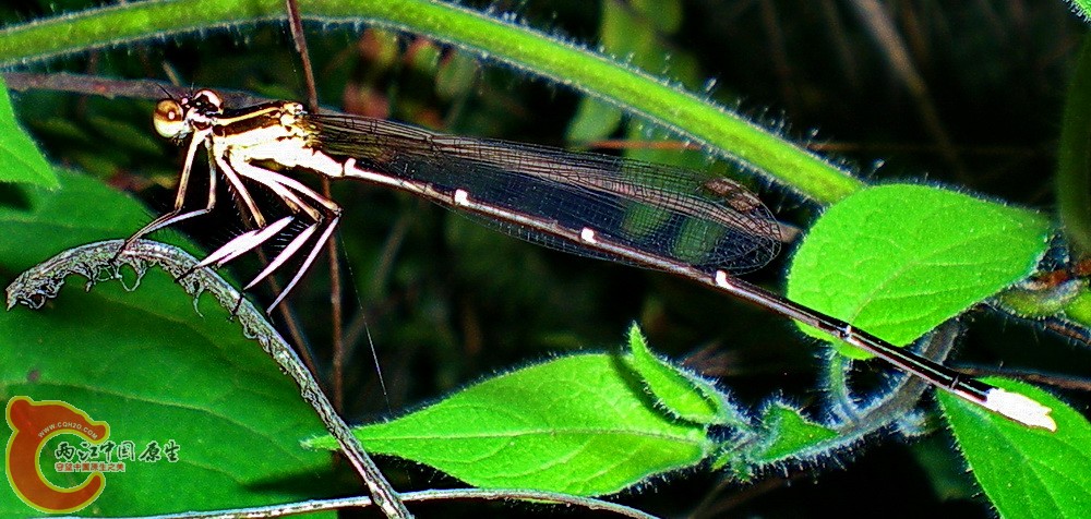 DSCN3868.JPG