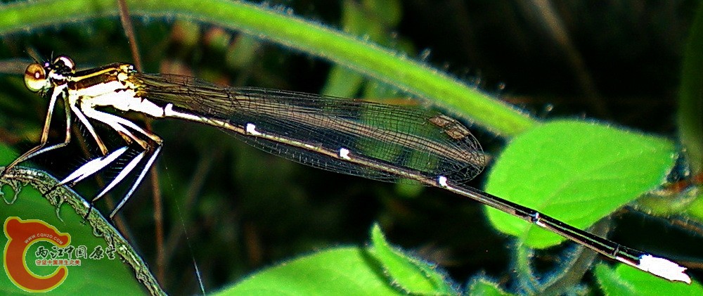 DSCN3869.JPG