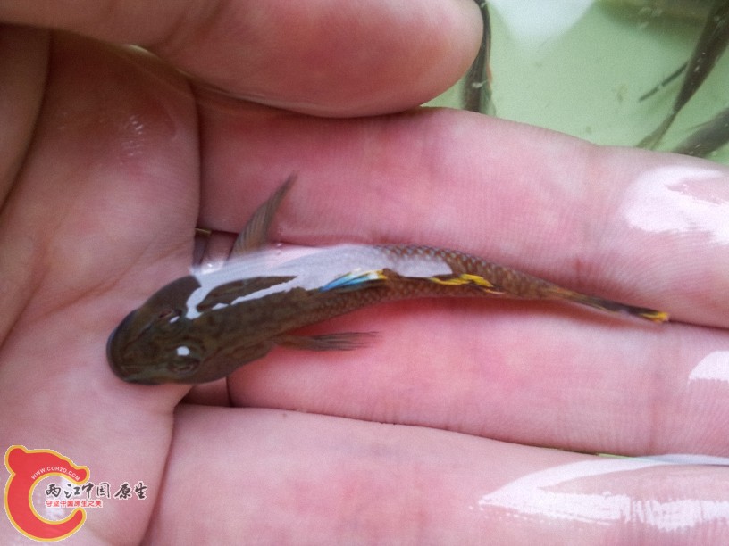 2012-05-15 12.53.04.jpg