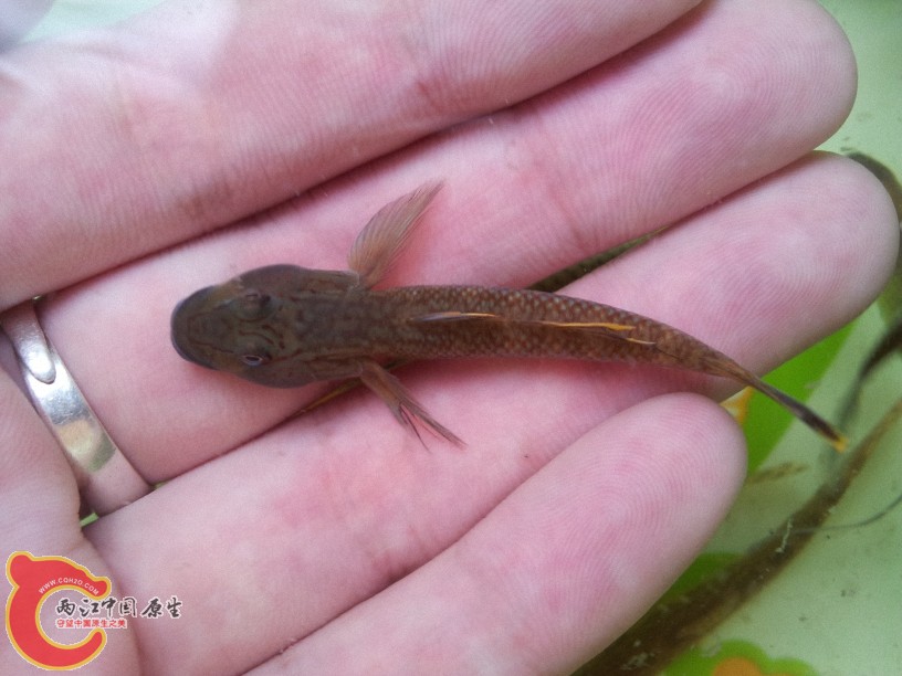 2012-05-15 12.53.23.jpg