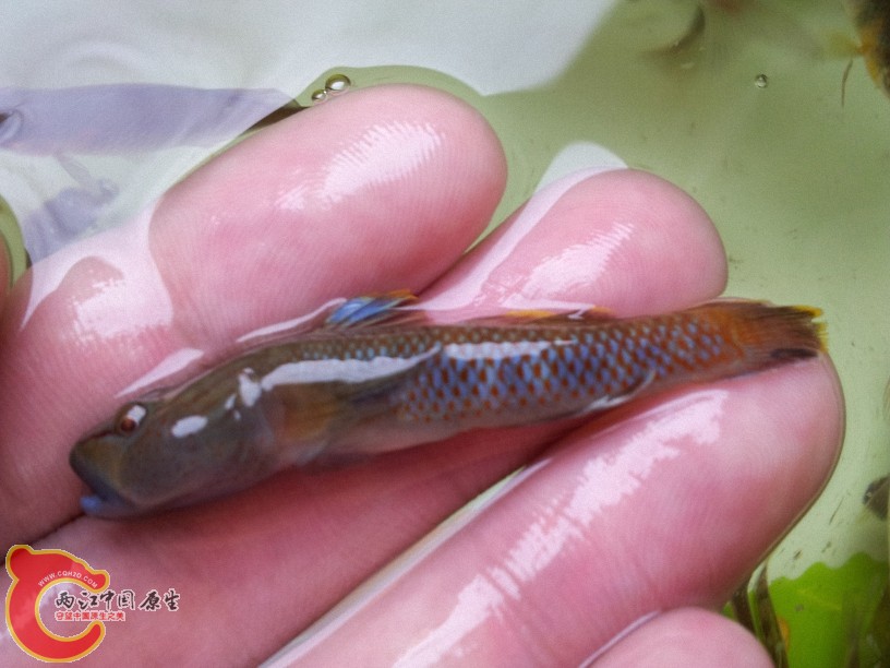 2012-05-15 12.55.15.jpg