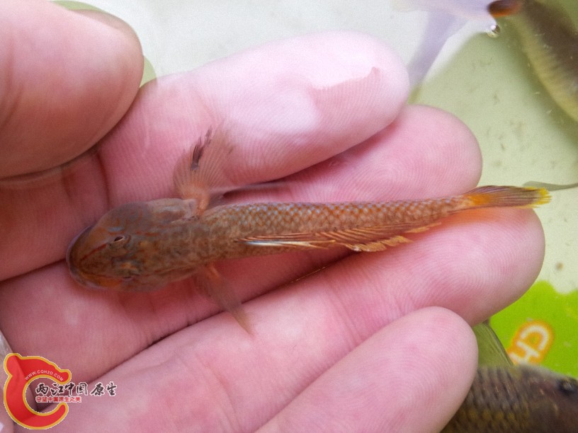 2012-05-15 12.55.30.jpg