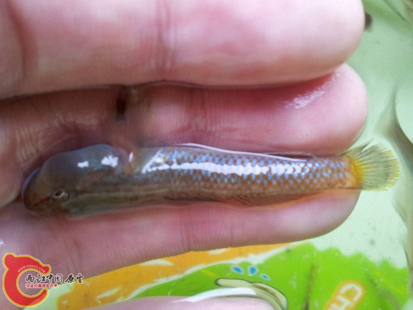 2012-05-15 12.55.39.jpg