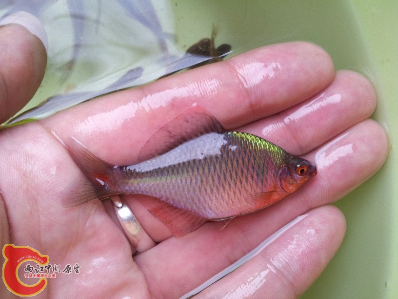 2012-05-15 12.44.35.jpg