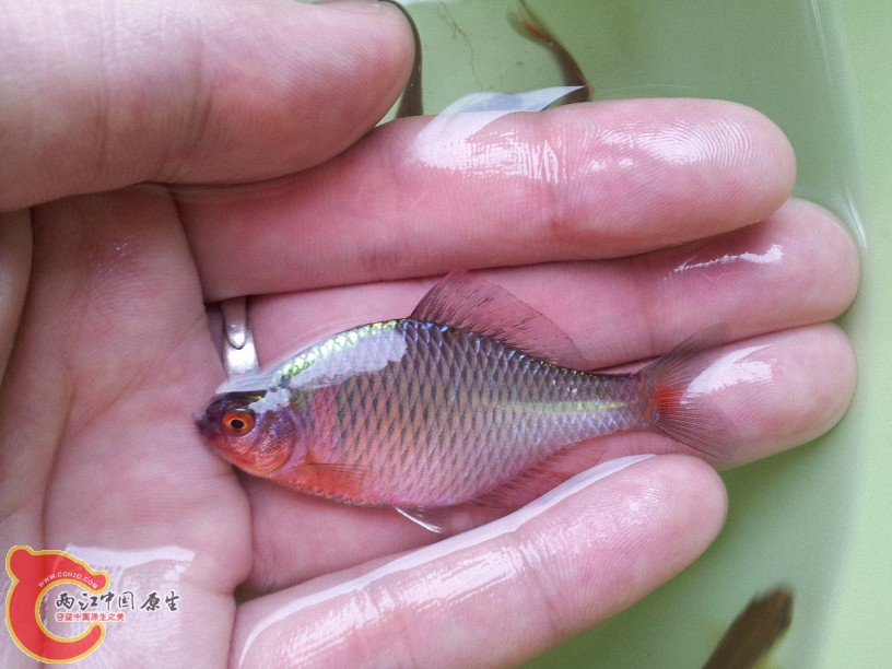 2012-05-15 12.44.52.jpg