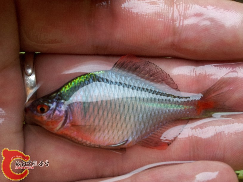 2012-05-15 12.47.00.jpg