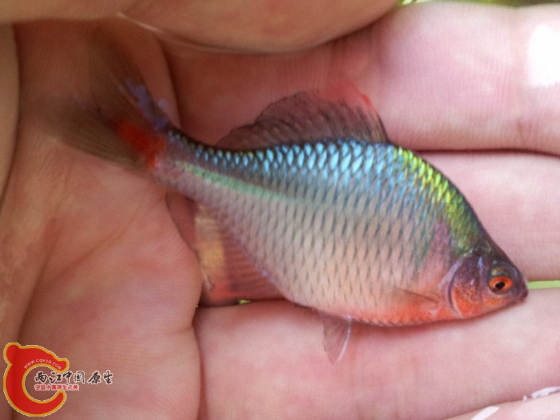 2012-05-15 12.48.17.jpg