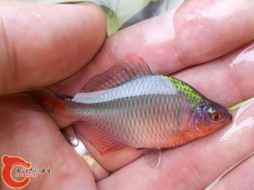 2012-05-15 12.48.27.jpg