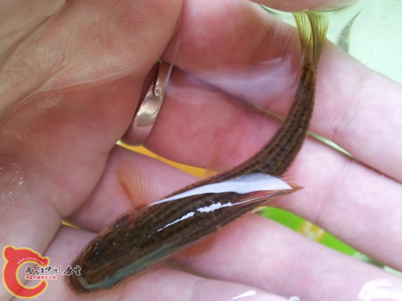 2012-05-15 12.48.59.jpg