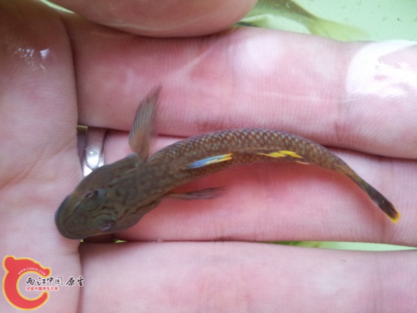 2012-05-15 12.52.56.jpg