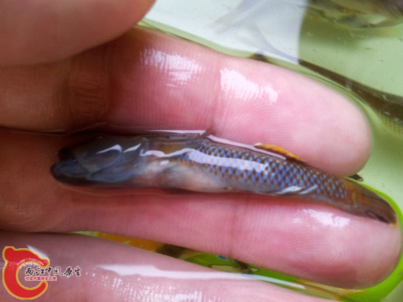 2012-05-15 12.54.28.jpg