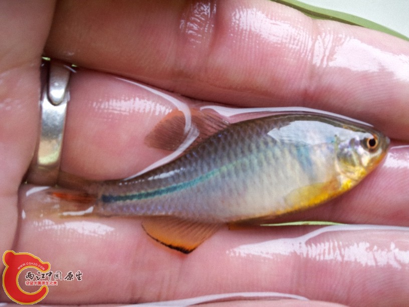 2012-05-15 13.00.00.jpg